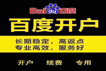 创新引领者：某信息流广告公司的技术突破案例